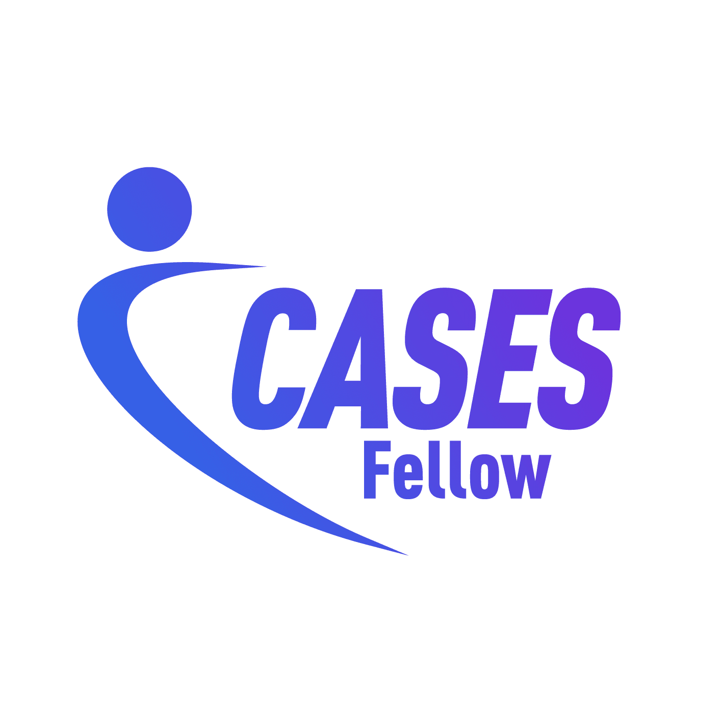 11_cases_fellow456